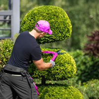Hedge Trimming