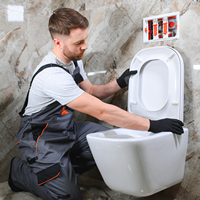 remplacement d'évier, de lavabo et de toilette